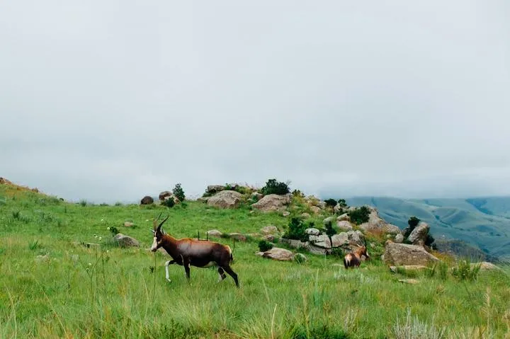 Eswatini
